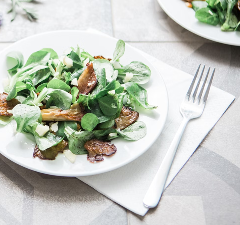 위생등급제 컨설팅